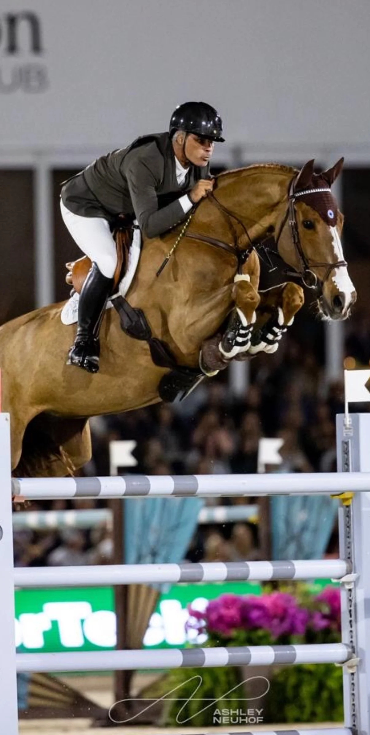 8 time Olympian Show Jumpers Rodrigo Pessoa of Brazil
