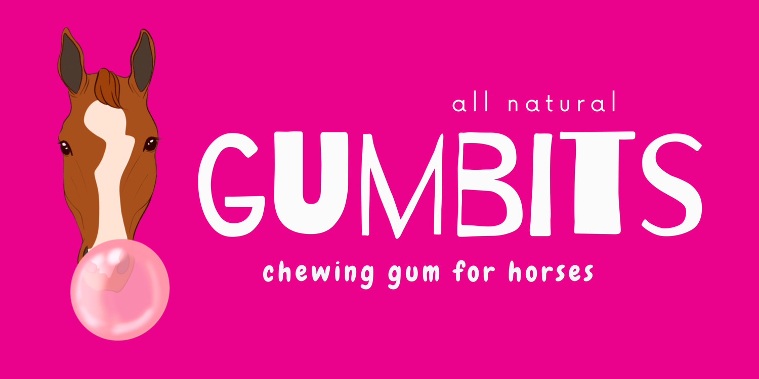 GumBits, chewing gum for horses