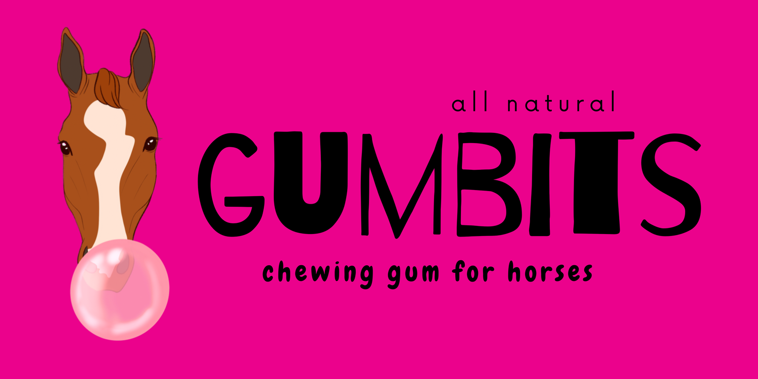 GumBits, chewing gum for horses