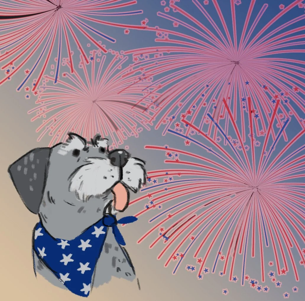 How to Have a Fear Free Fourth.