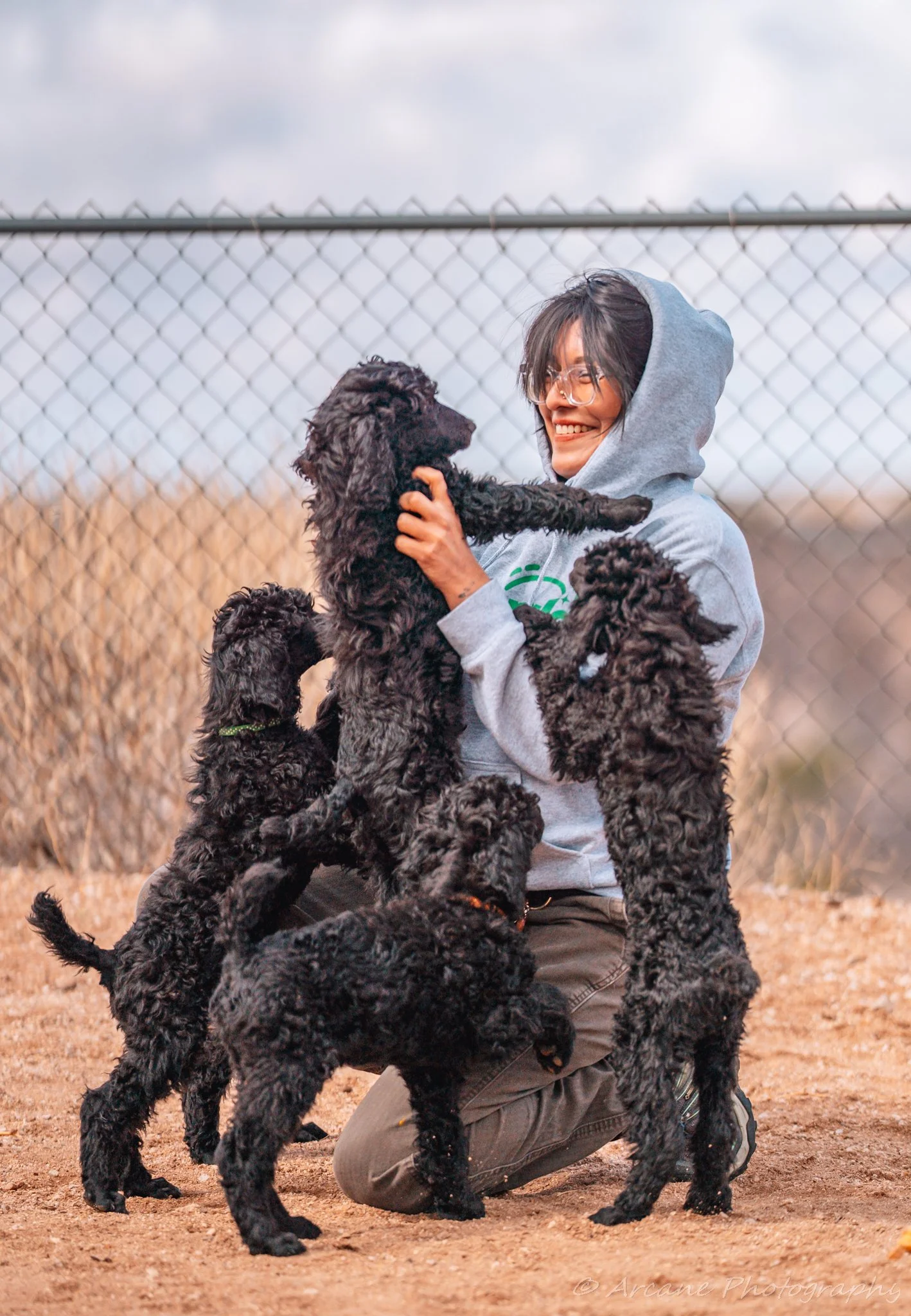 Puppy Socialization Outings Done Right