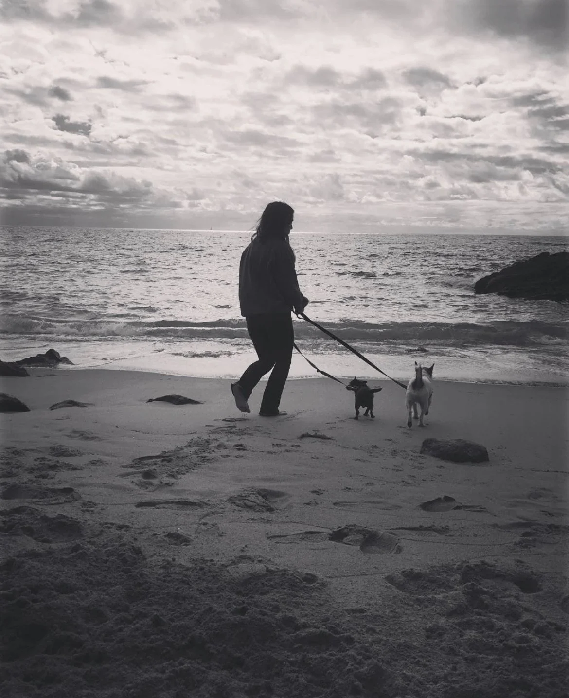Forever Loved • A Pet Loss Grief Support Group