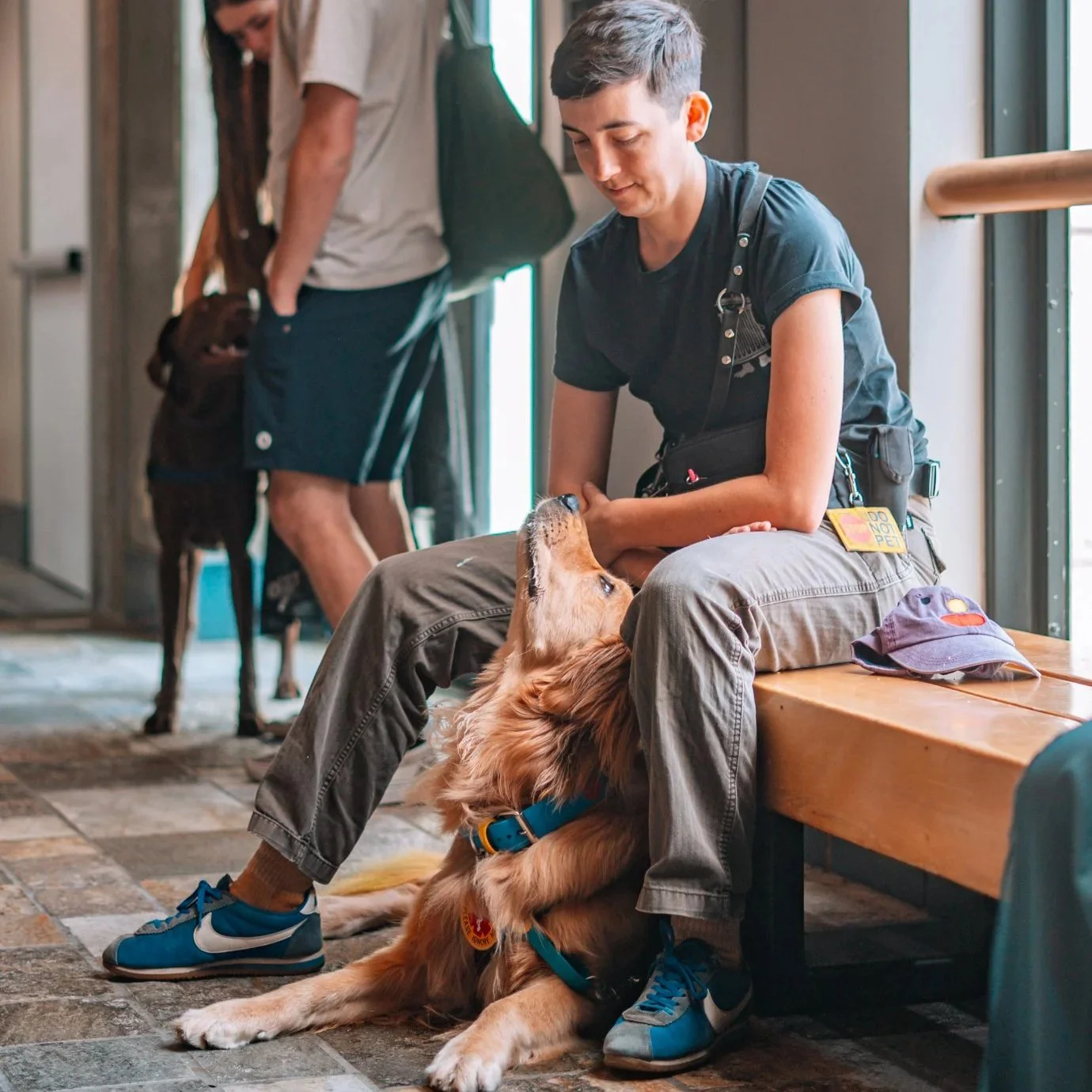 Service Dogs, Therapy Dogs, &amp; ESAs: What’s the Difference?
