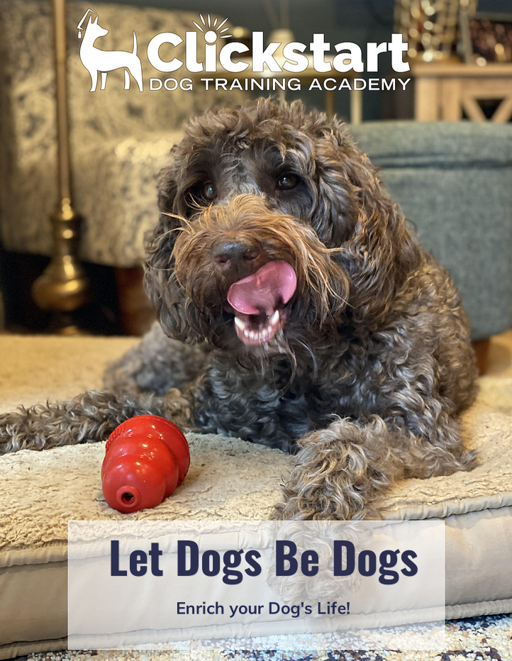 Enrichment eBook