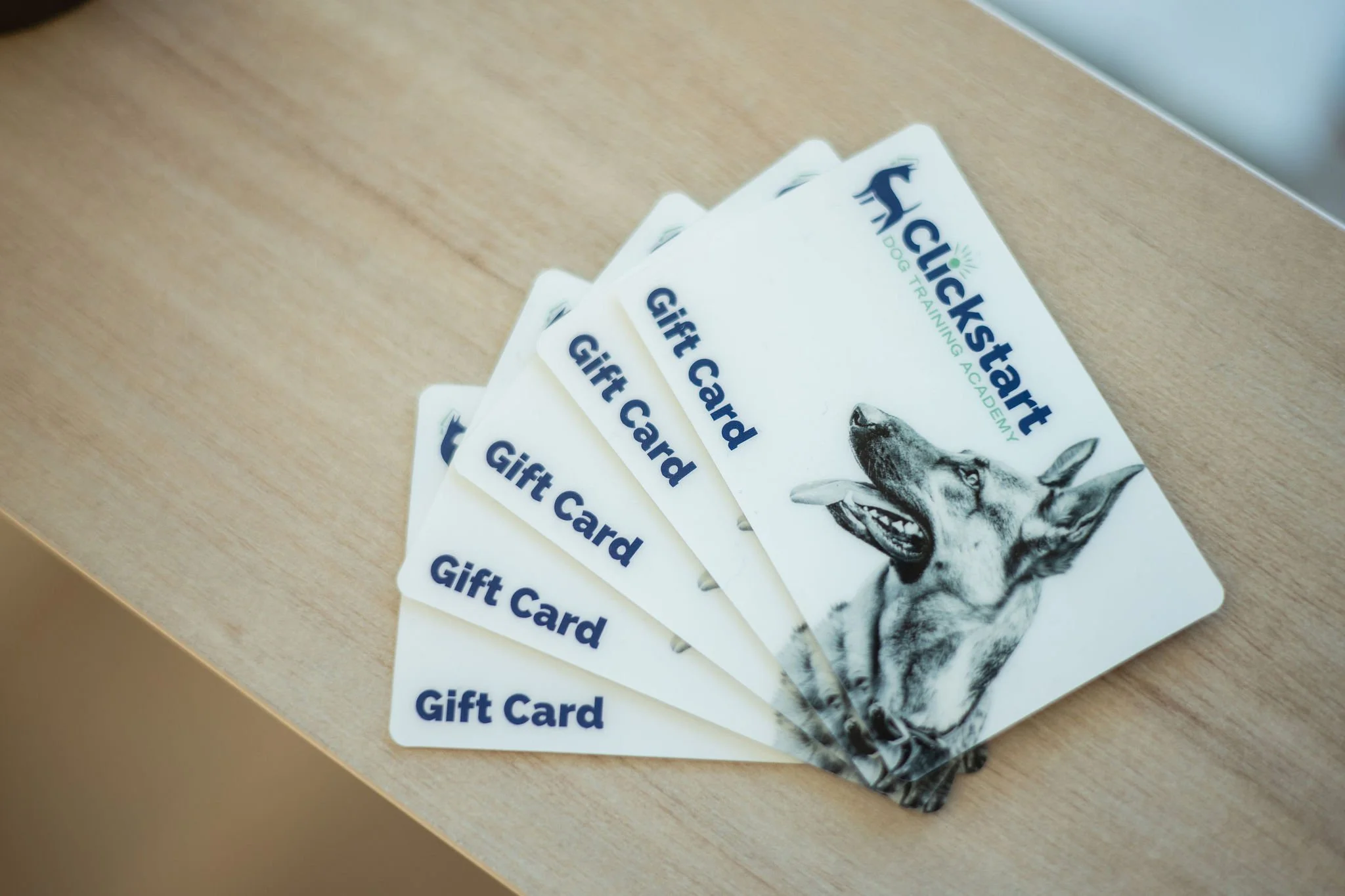 Give the Gift of Training