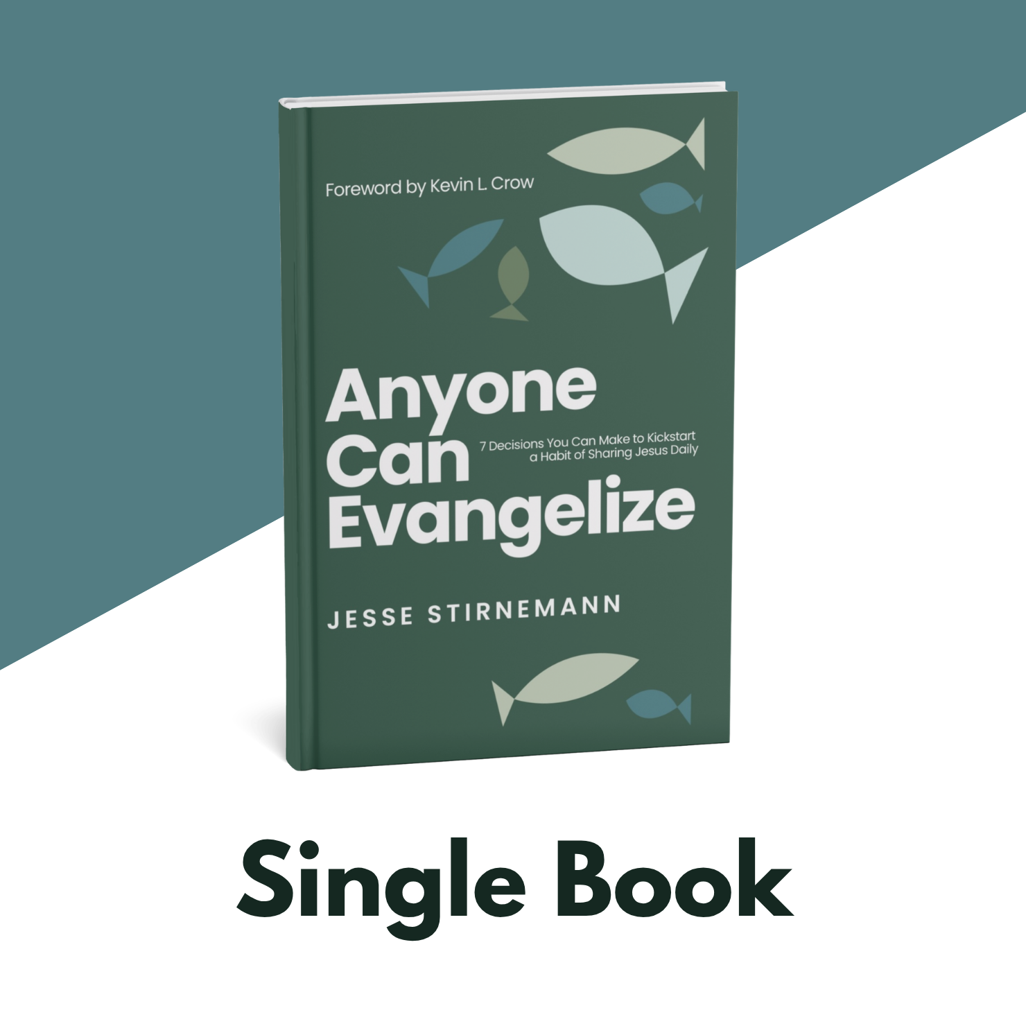 Anyone Can Evangelize- Single Copy