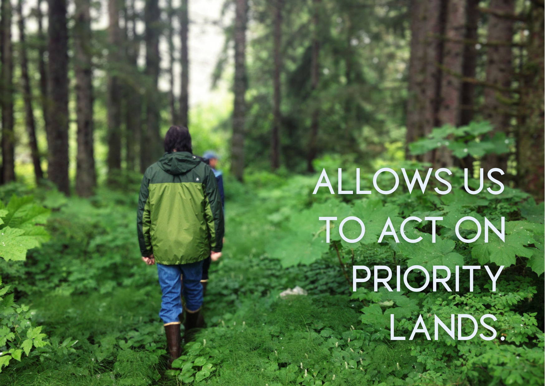 The primary purpose of The Acquisition Fund is to acquire priority parcels. Instead of relying on outside organizations, inholdings can be conserved by Southeast Alaskans, with local ownership over outcomes and reflecting generational relationships w