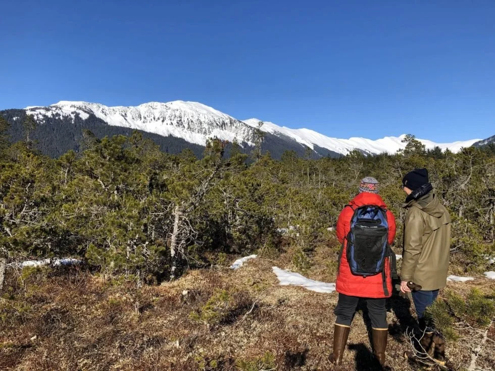 Two hikers dressed in winter gear, standing in front of a snow-covered mountain landscape, surrounded by low vegetation and trees, under a clear blue sky.