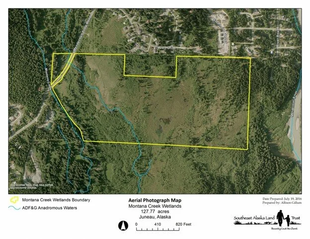 Aerial map of Montana Creek Wetlands showing the wetlands boundary outlined in yellow, with blue lines indicating ADFG and anadromous waters, and surrounding forested areas in Juneau, Alaska.