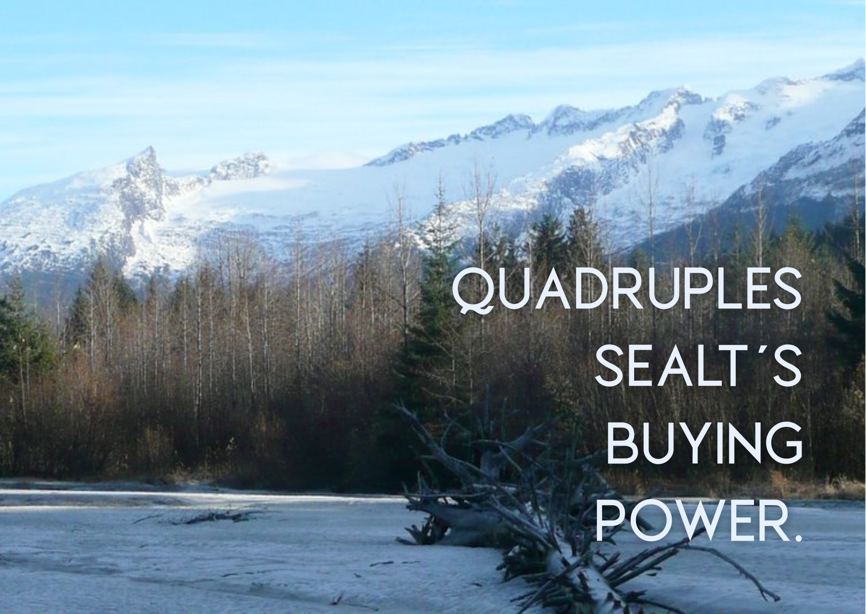 We are constantly applying for grant funding to conserve and steward land in Southeast Alaska — it is critical to our success as an organization. Often grants have the requirement that we provide matching funds. For a grant requiring a 25% match, a f