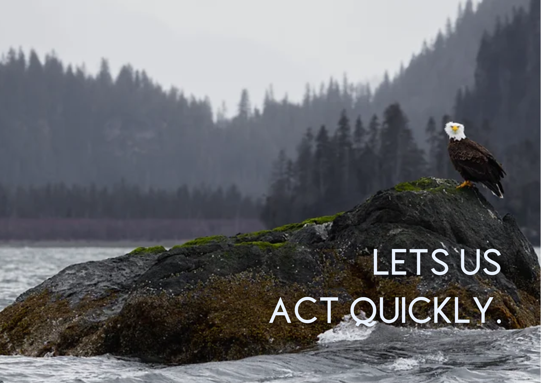 It's critical to have the ability to act quickly when land with high conservation value comes up for sale. The Acquisition Fund allows us to bypass the lengthy approval process and sometimes restrictions that come with other funding sources.