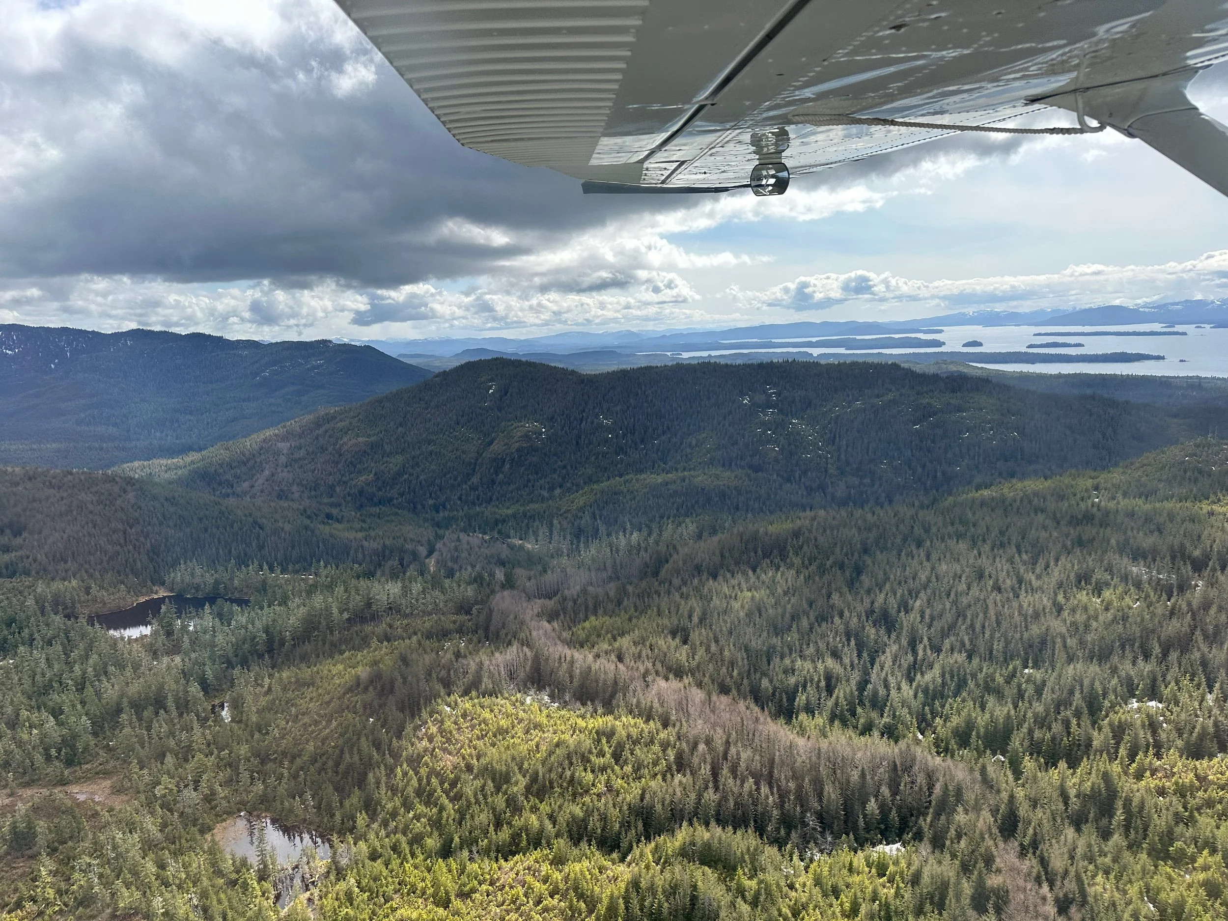 View from a small aircraft wing showing a vast landscape of forests, rolling hills, and distant water bodies under partly cloudy sky.