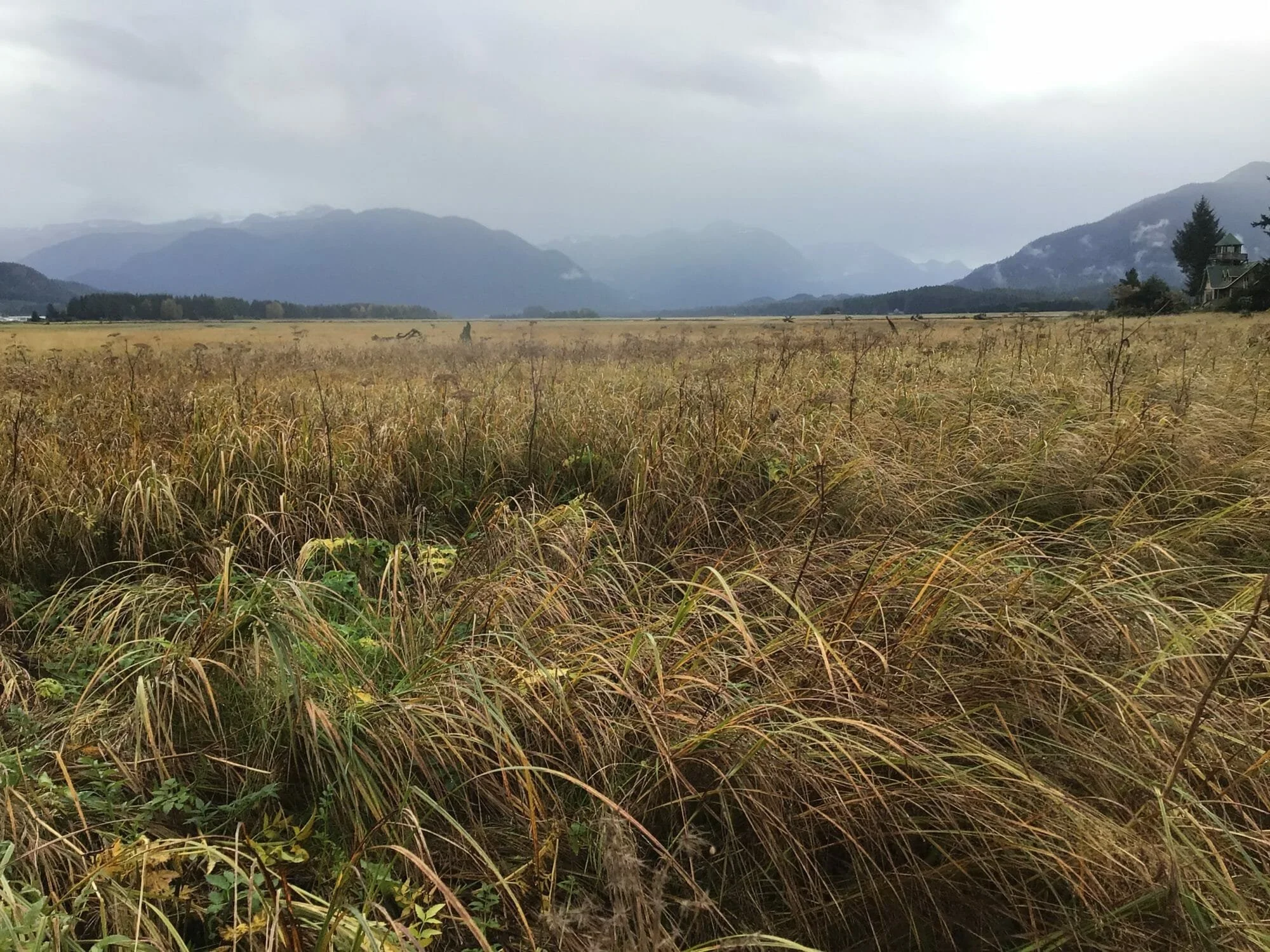 Open field with tall grass, surrounded by mountains under a cloudy sky