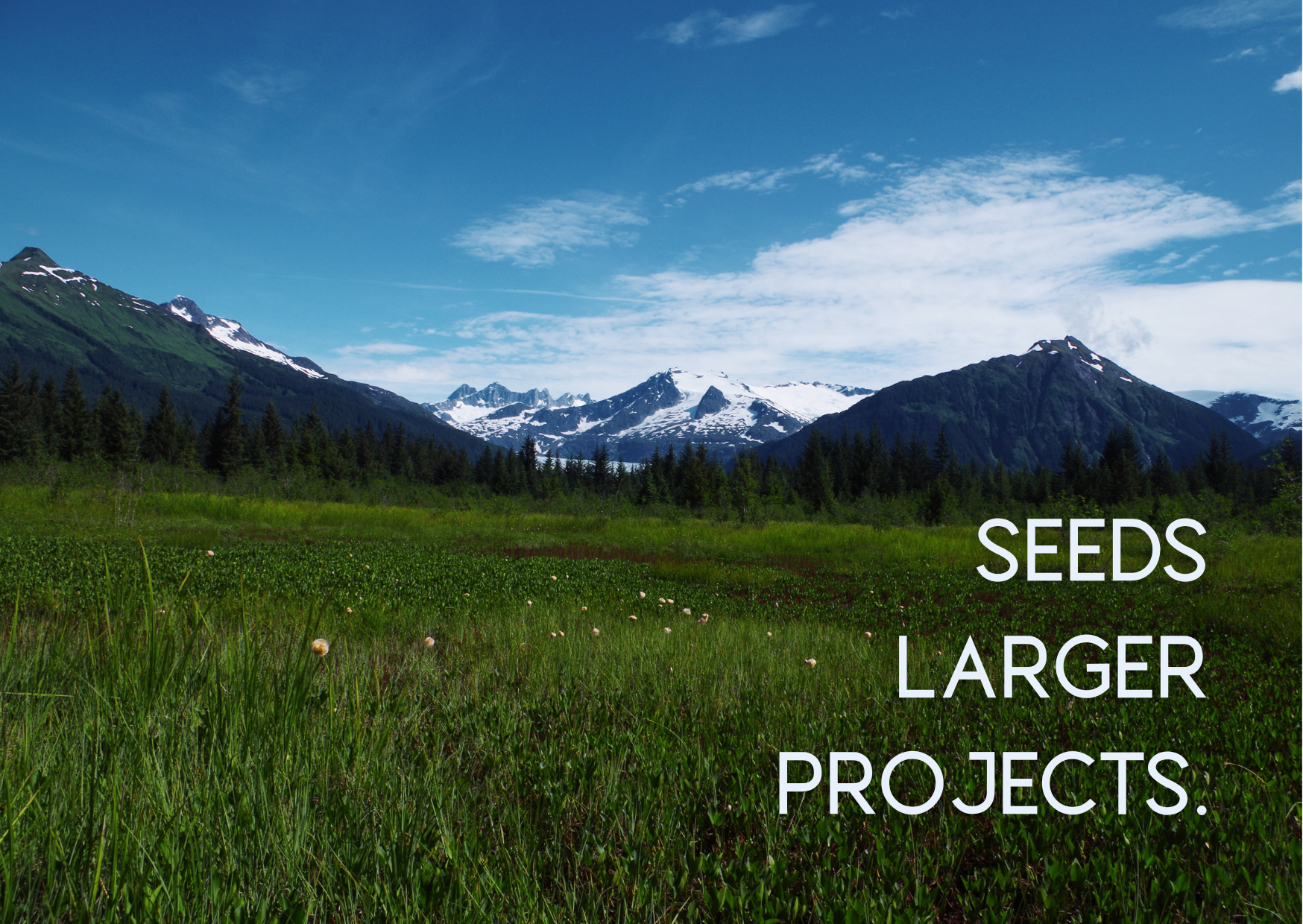 The Acquisition Fund can kick-start major projects by providing seed money. It can be used for due diligence like surveys and environmental assessments, or to accept donations of land without a cash contribution to establish its long-term management.
