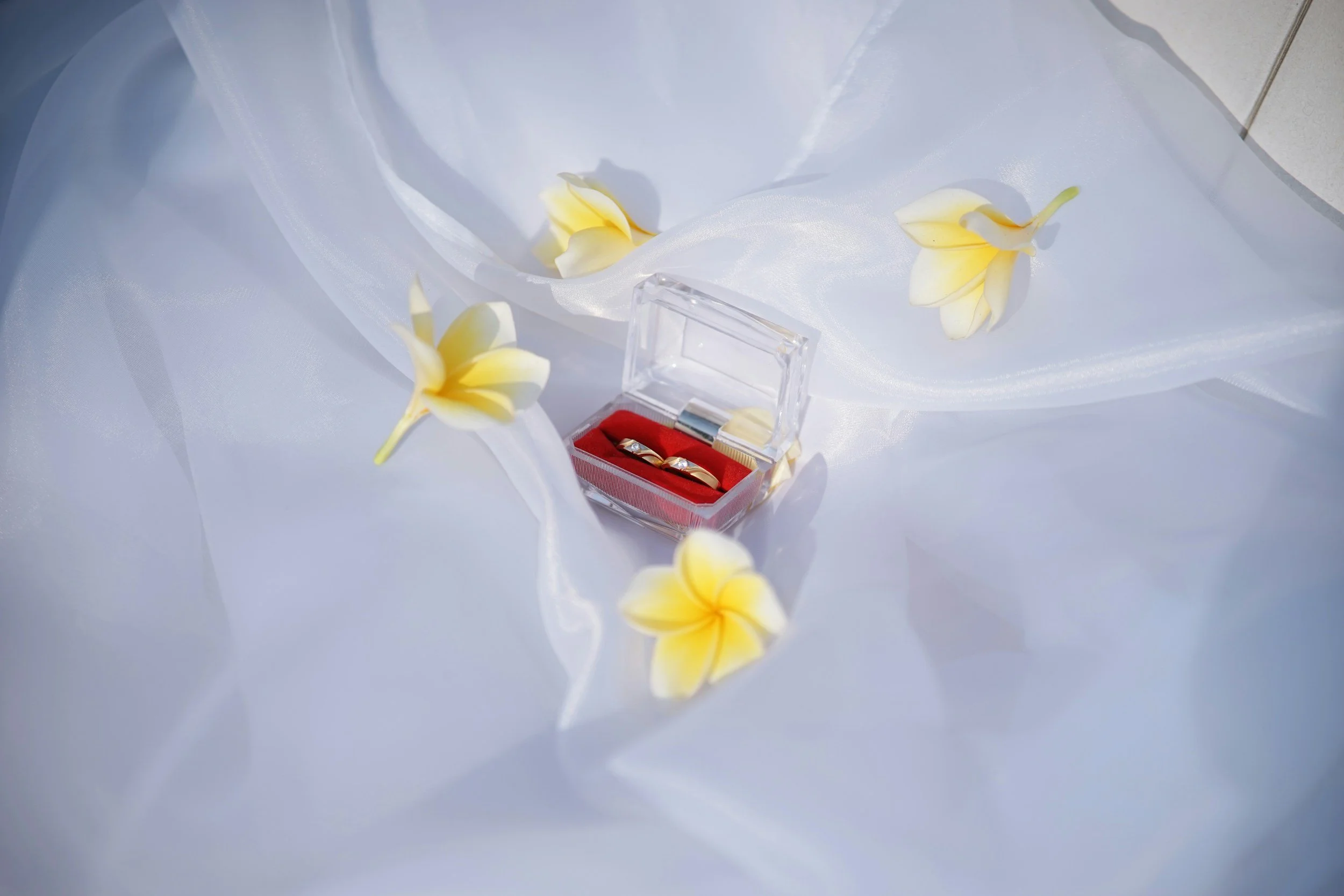 The Emotional Trust Fund: What We Give Our Children That Money Can't Buy