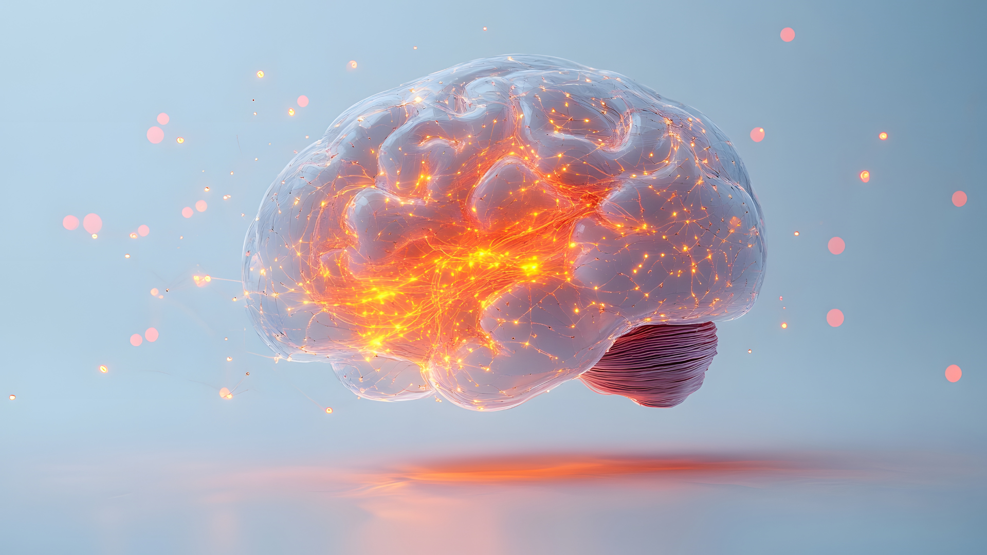 The Neuroscience Behind EMDR: Why Brain-Based Training Matters for Clinical Practice