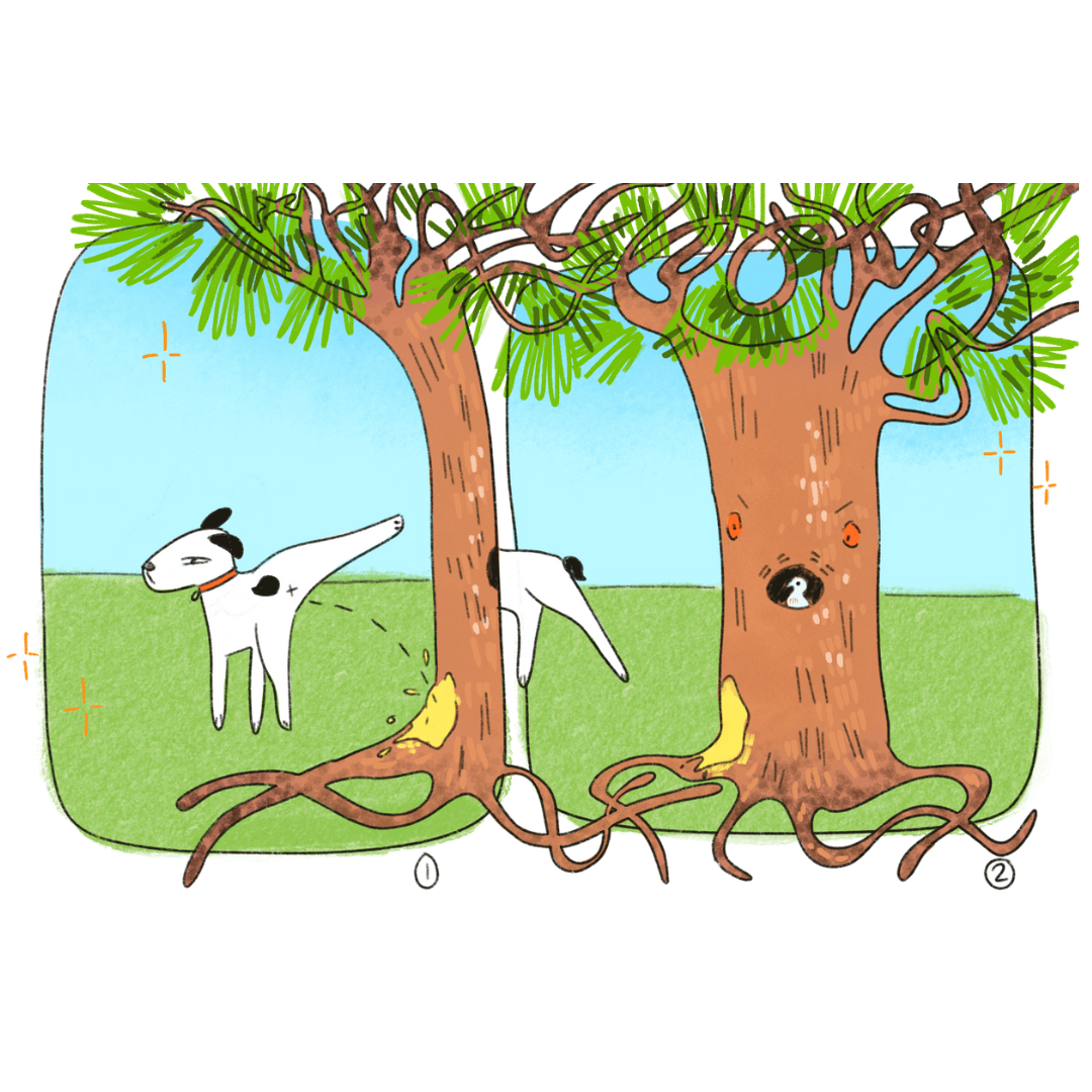 6-EDITORIAL ILLUSTRATION.png