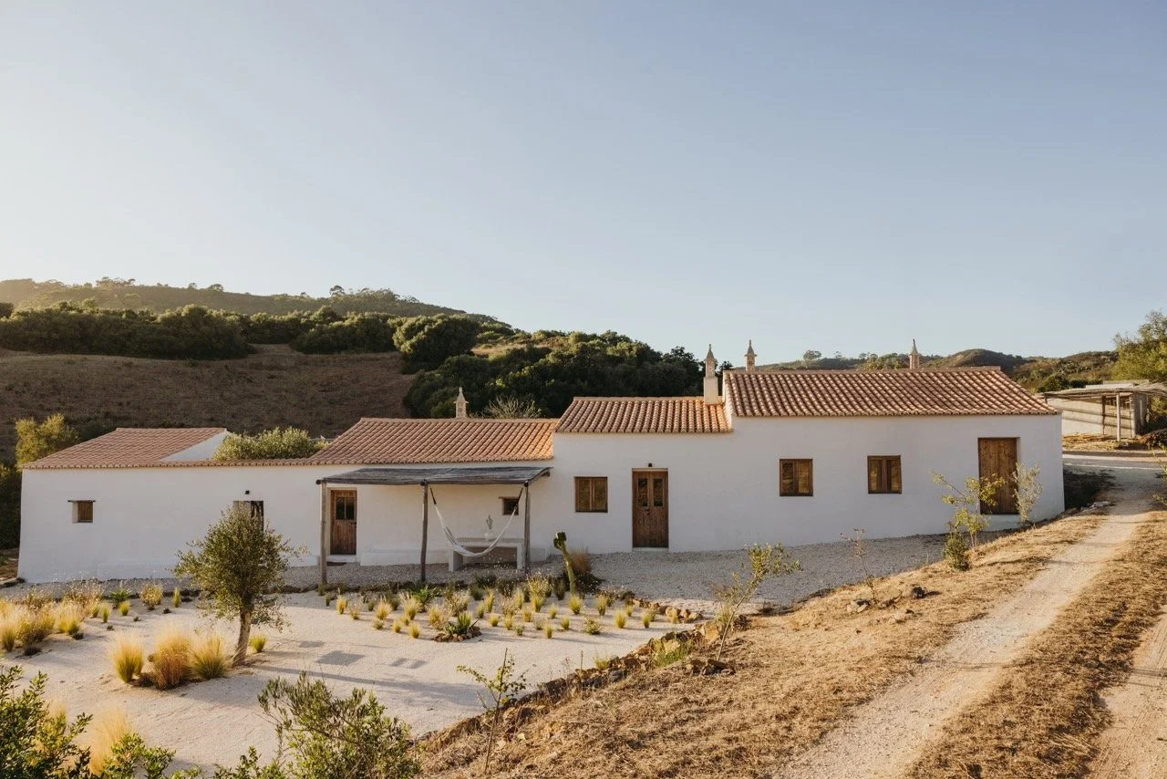 Groß (maybe-october-2025-anna-fichtner_MG_9593-1).jpeg