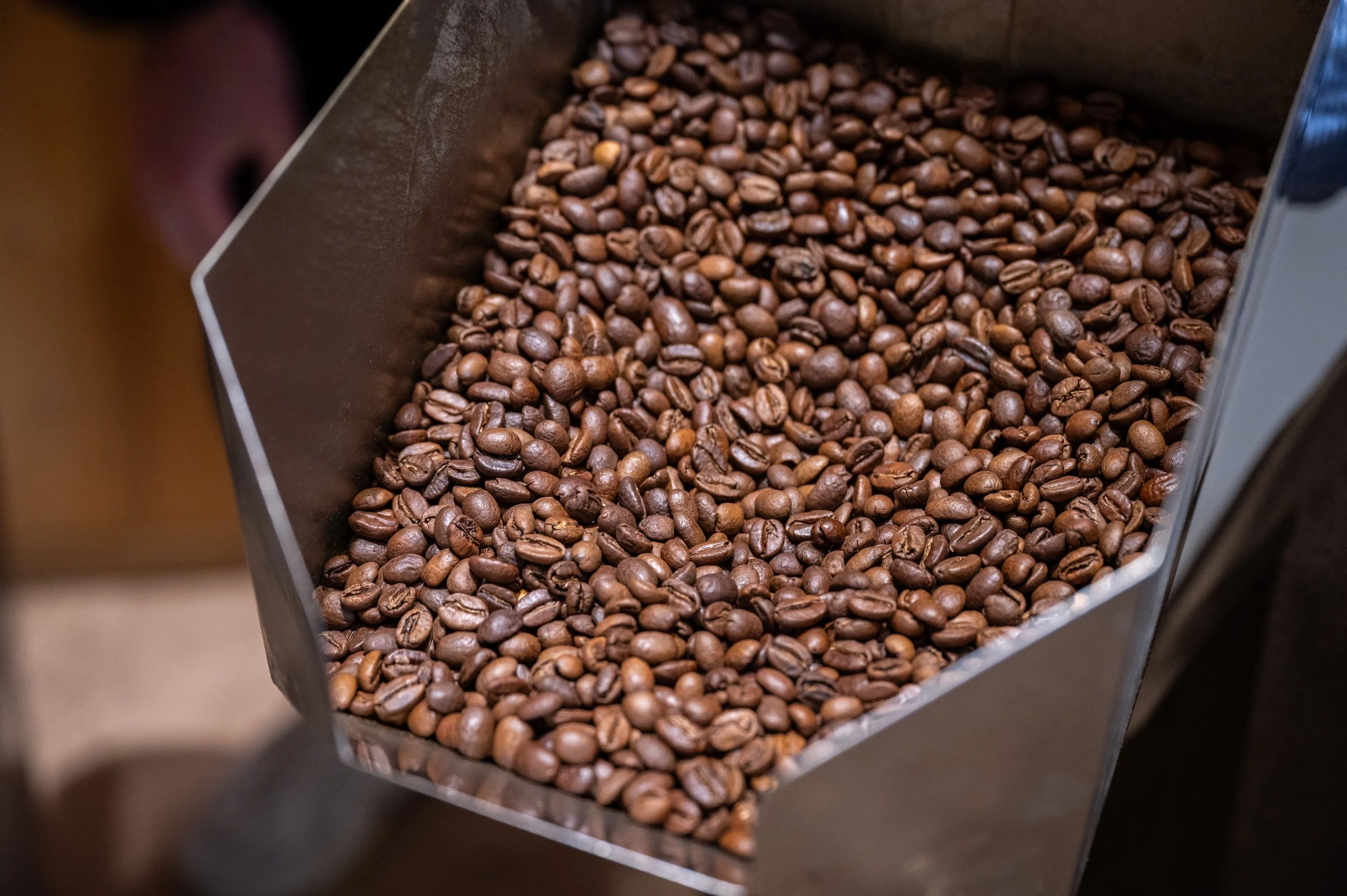 Atelier Torréfaction-Arthur Enselme-12.jpg