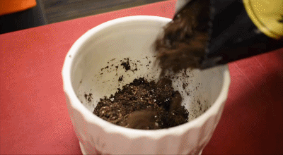 ezgif.com-optimize (2).gif