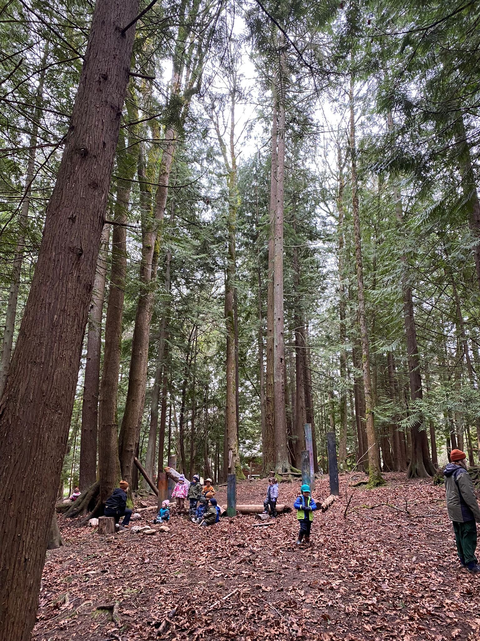 WhatsApp Image 2025-02-24 at 13.52.32.jpeg