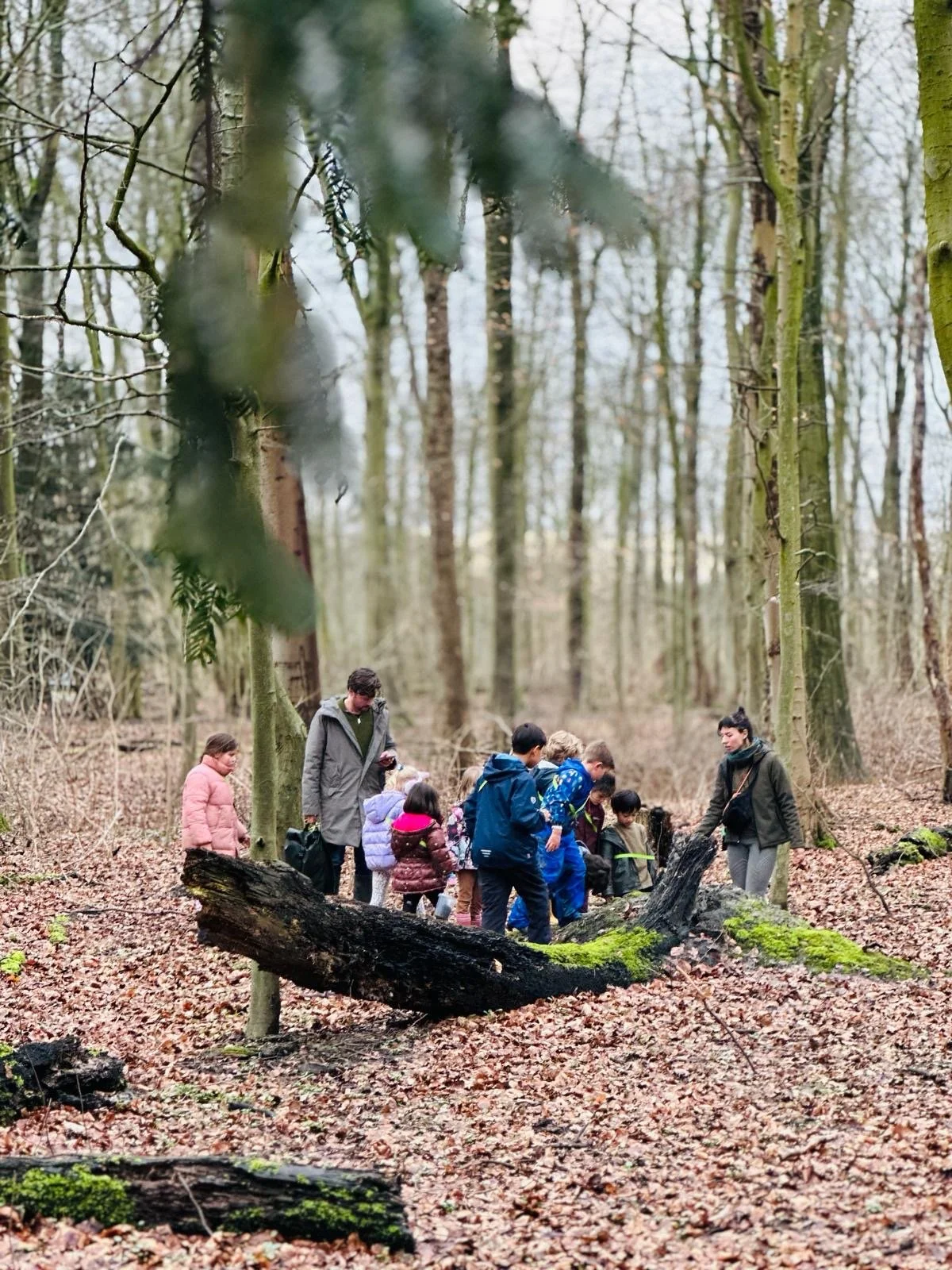 f1a51ae4-1c91-4af6-8771-5c67b9f2b82f (1).JPG