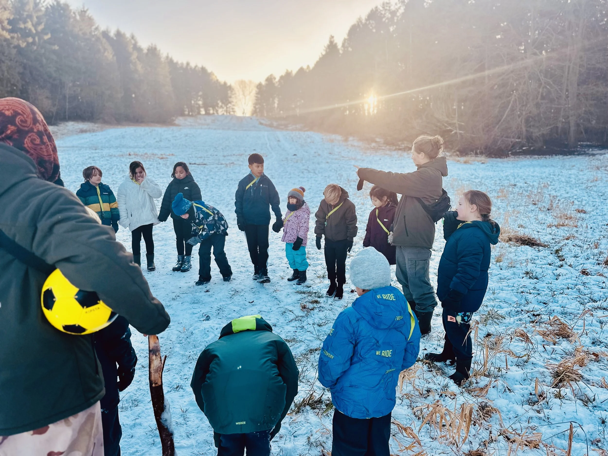 Copy of snow winter.jpg