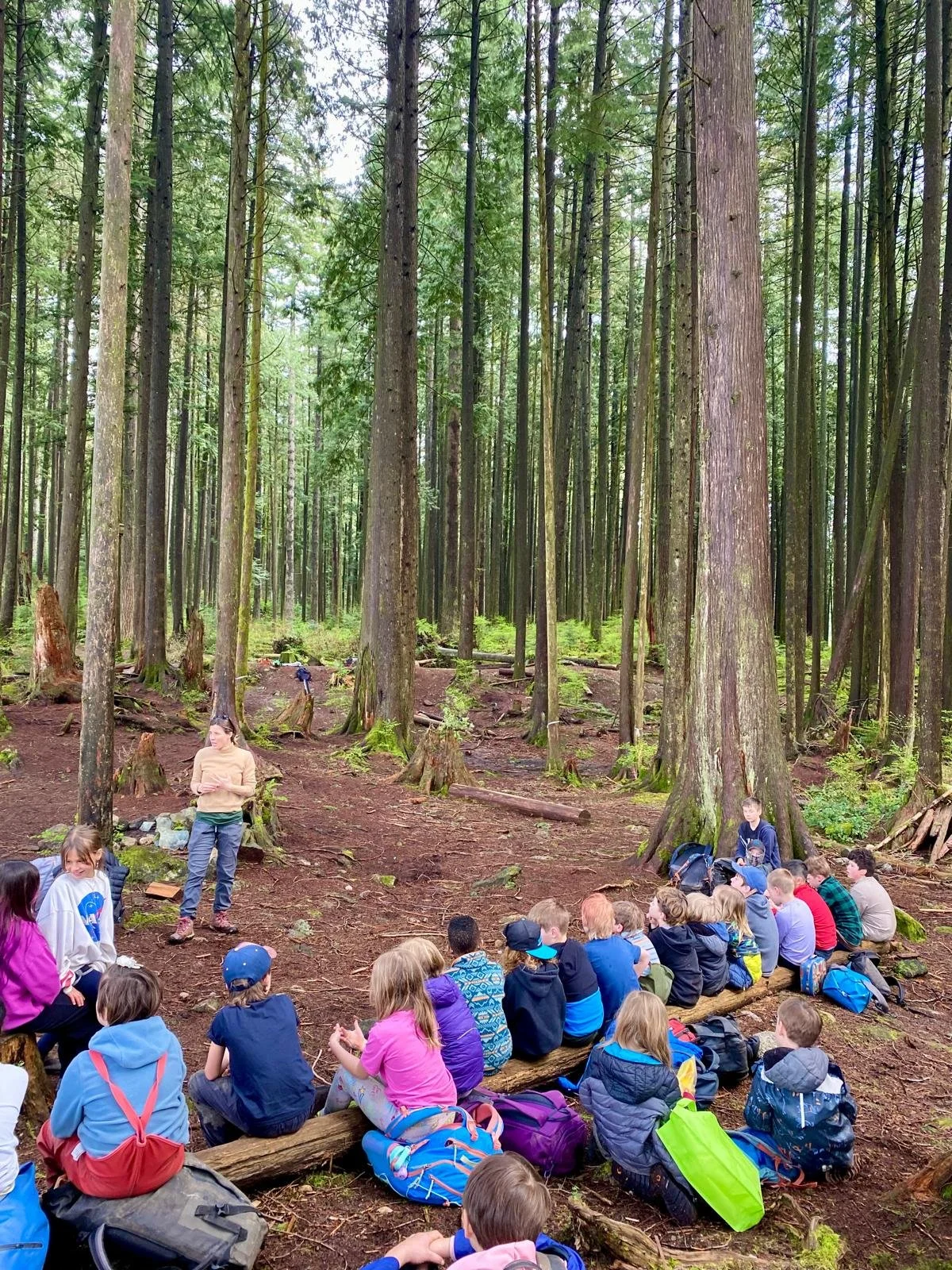 WhatsApp Image 2025-08-07 at 16.50.52.jpeg