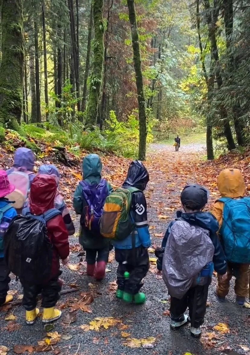 WhatsApp Image 2025-02-24 at 13.14.58.jpeg