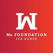 Ms. Foundation for Women - Grantee Partner Spotlight: Surveillance Technology Oversight Project