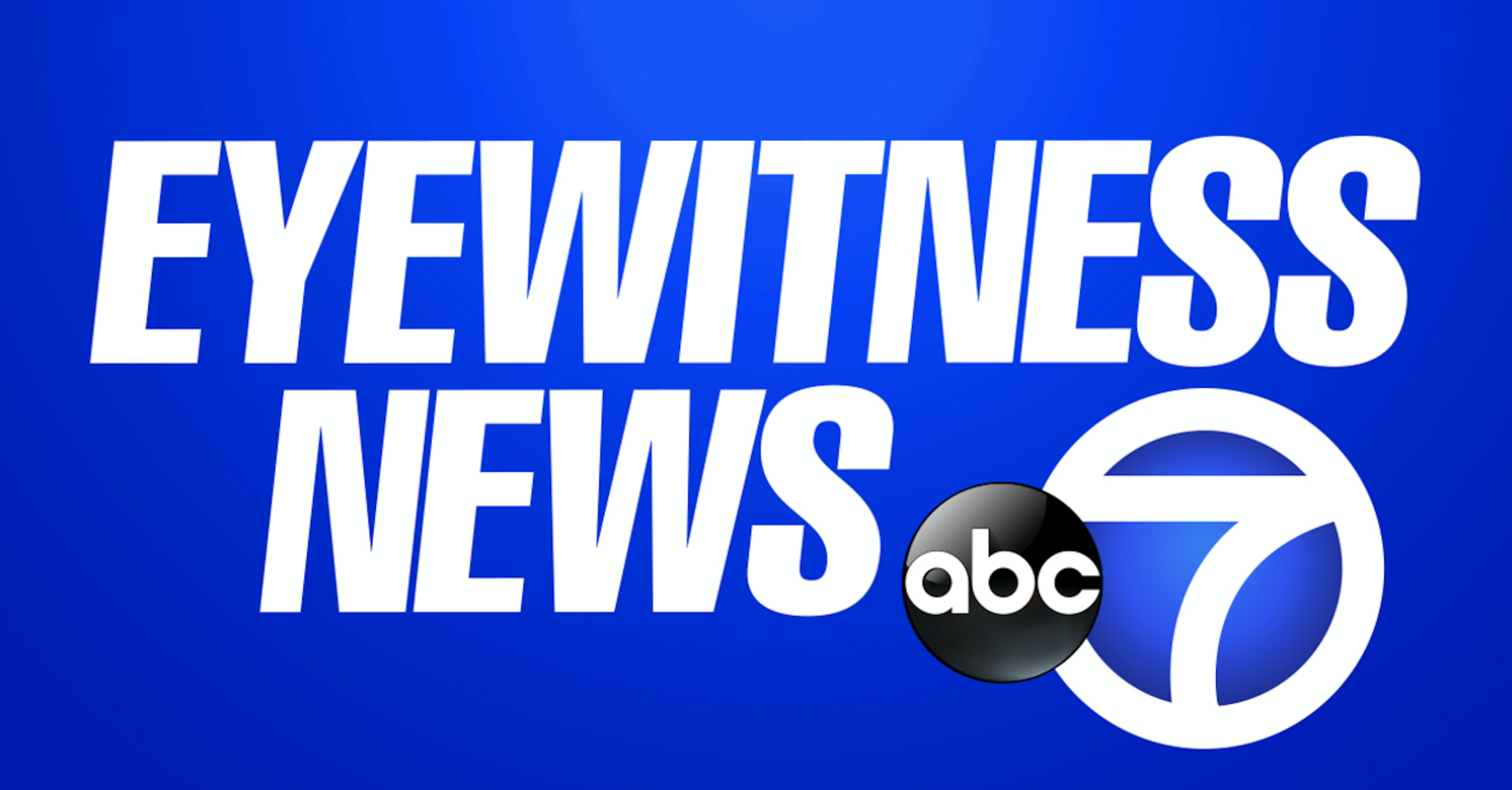 ABC Eyewitness News - S.T.O.P.'s Albert Fox Cahn on ExcelsiorPass Contract &amp; Transparency