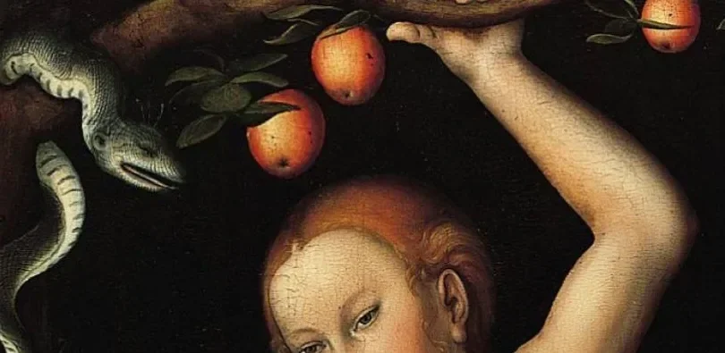 The Madonna Complex: Unboxing Womanhood