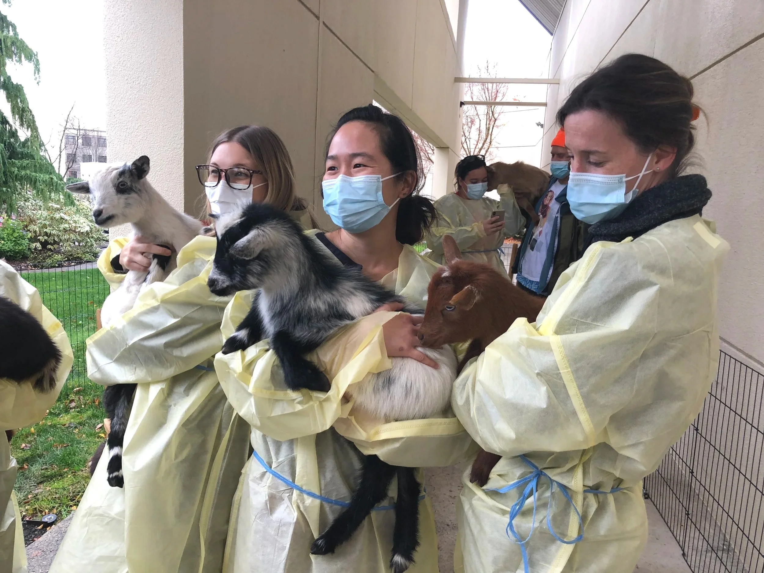 Gardens, Goats, and Gratitude