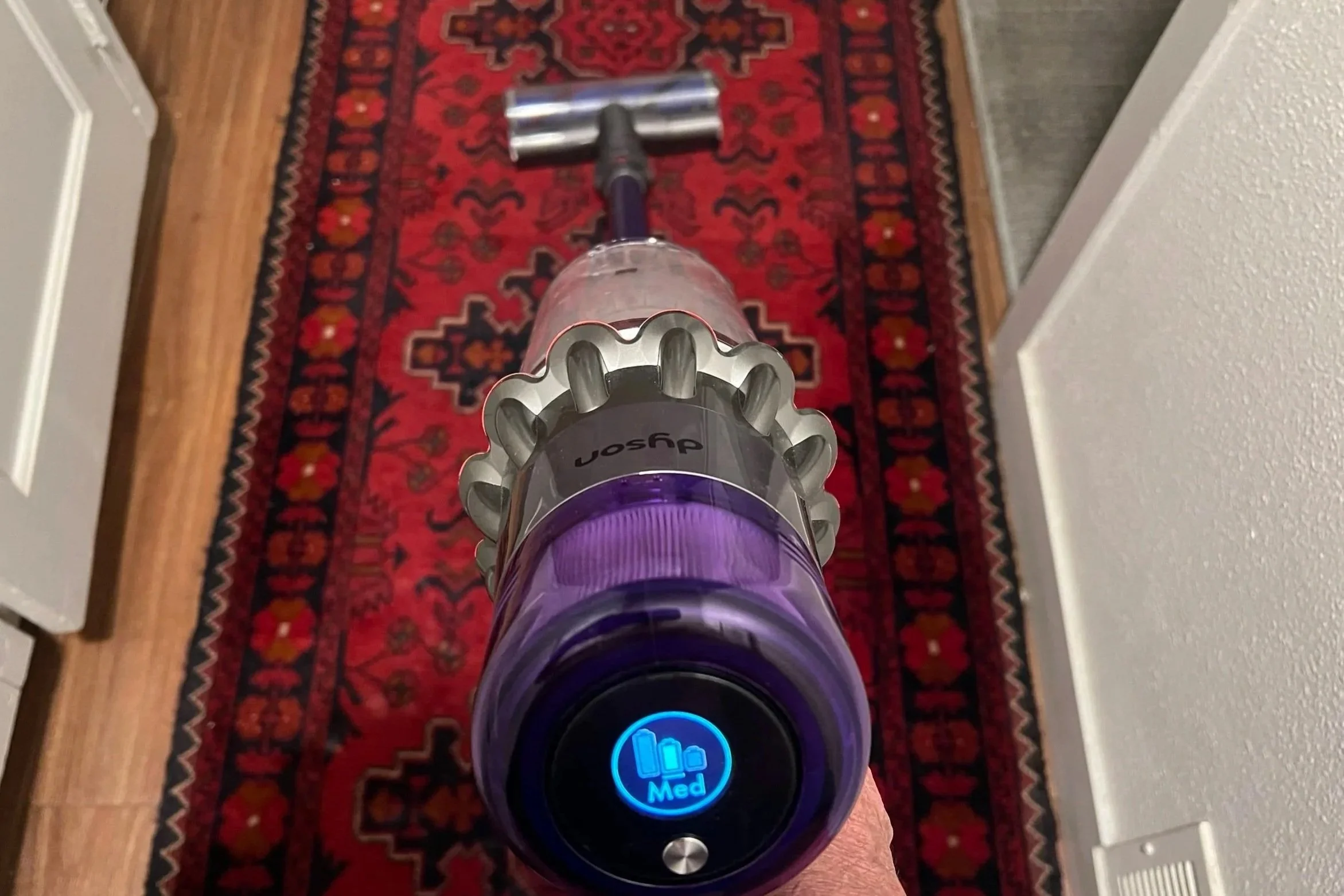 Ode to Delores Dee,               Goddess of Stick Vacuuming