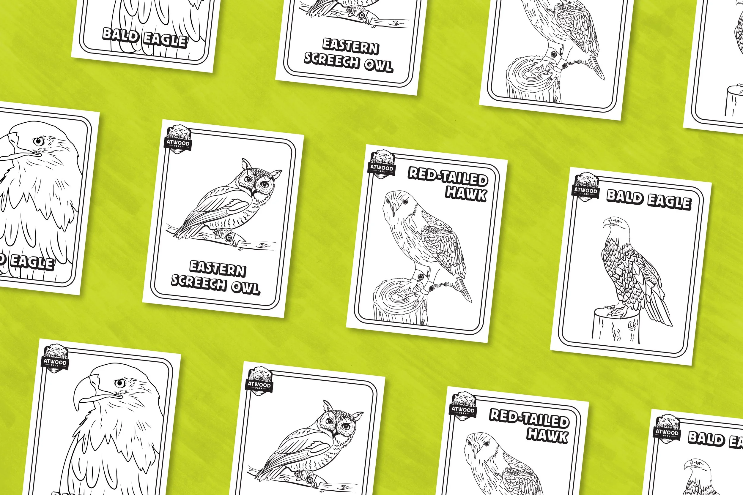 Atwood_Park_Coloring_Pages.jpg