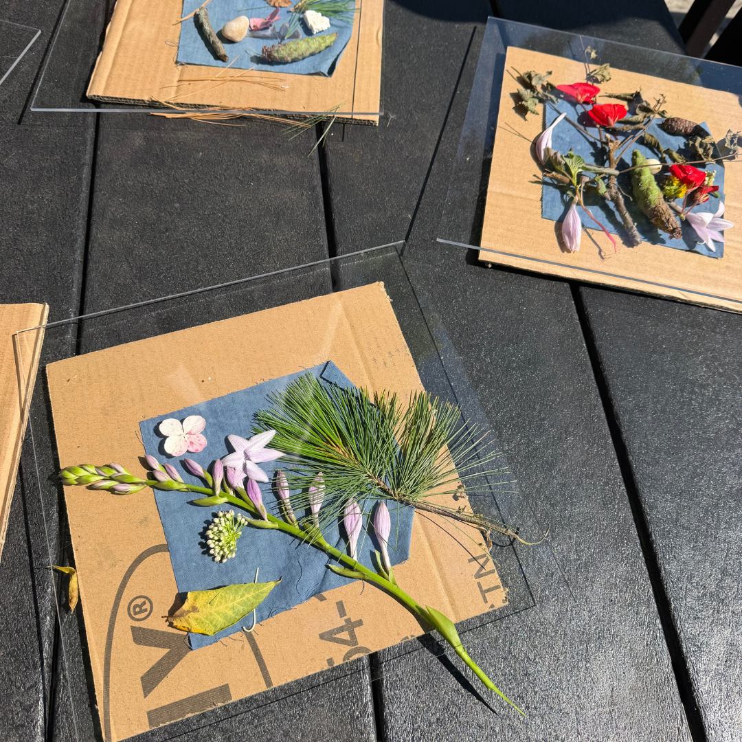 Create your own Cyanotype