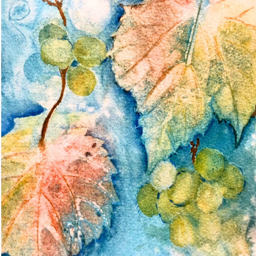 grape leaf website.png