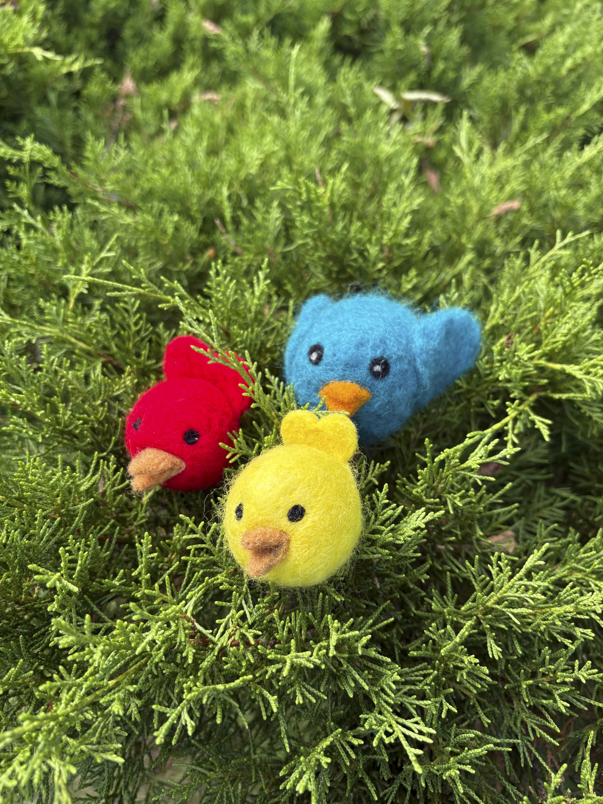 Needle Felted Birds: Sculpting with Wool