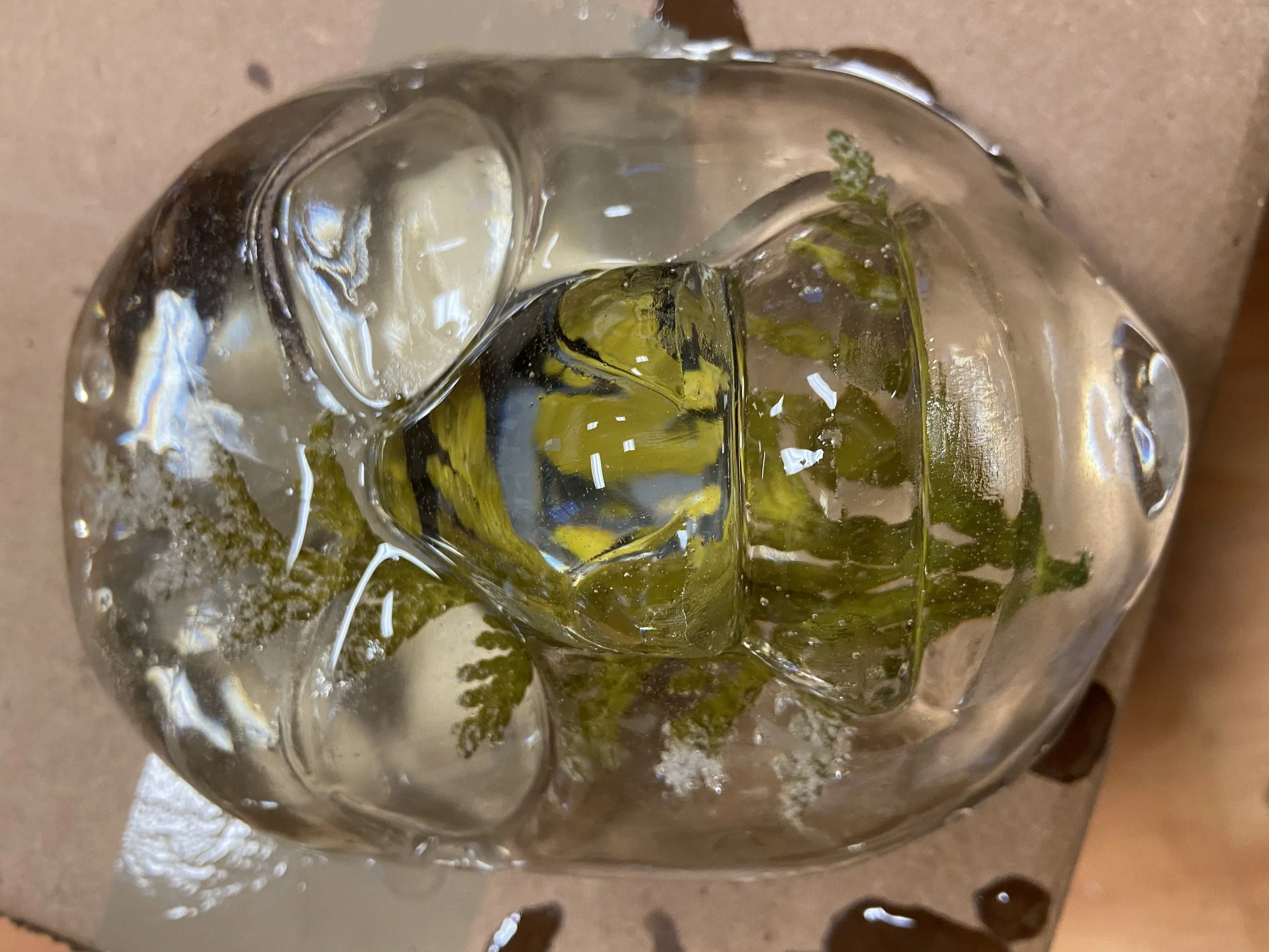 IMG_0552.jpeg