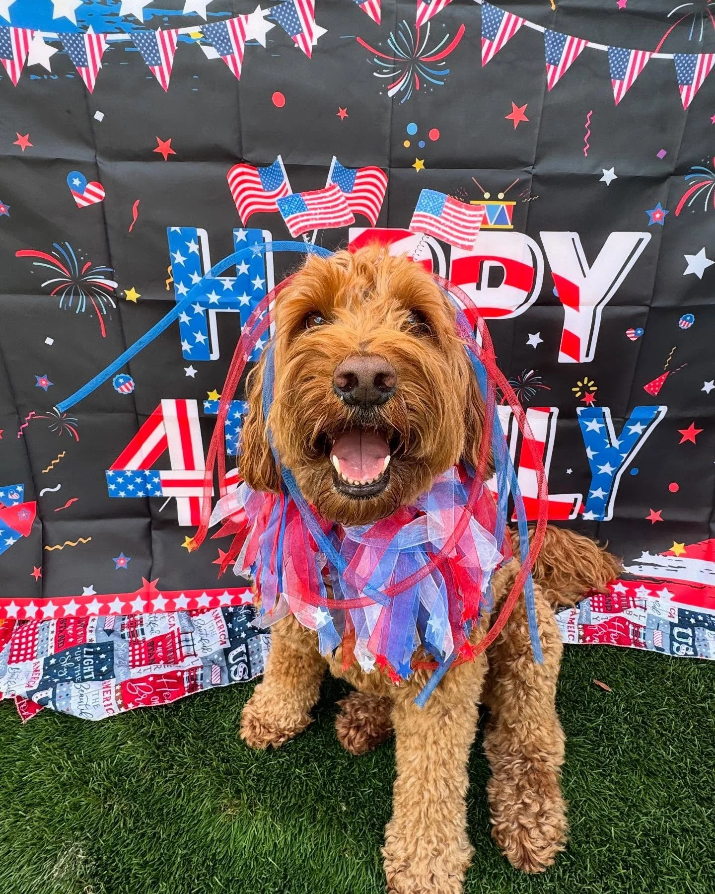 Happy 4th of July from the Pawfect Crew. 🇺🇸🎆&bull;
&bull;
&bull;
&bull;
#pawfectpalsmiami #pawfectpals #miamidogwalkers #miamipetsitters
#pawfectwalkers #pawfectmiami 
#miamidogwalkers #miamipetsitters #miamipetlodging #miamipetcare
#miamidogs #do