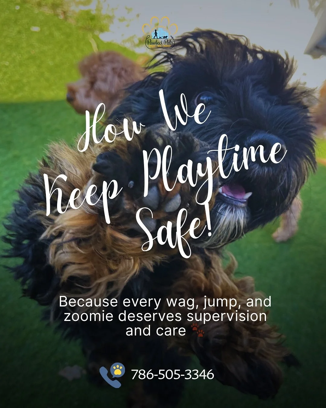 At Pawfect Pals, playtime isn&rsquo;t just fun, it&rsquo;s safe, supervised, and full of love 💛

We keep every pup happy and protected through:

🐕 Small, size-based playgroups
👀 Trained supervision all day
✨ Clean, comfy, and fresh spaces

Because