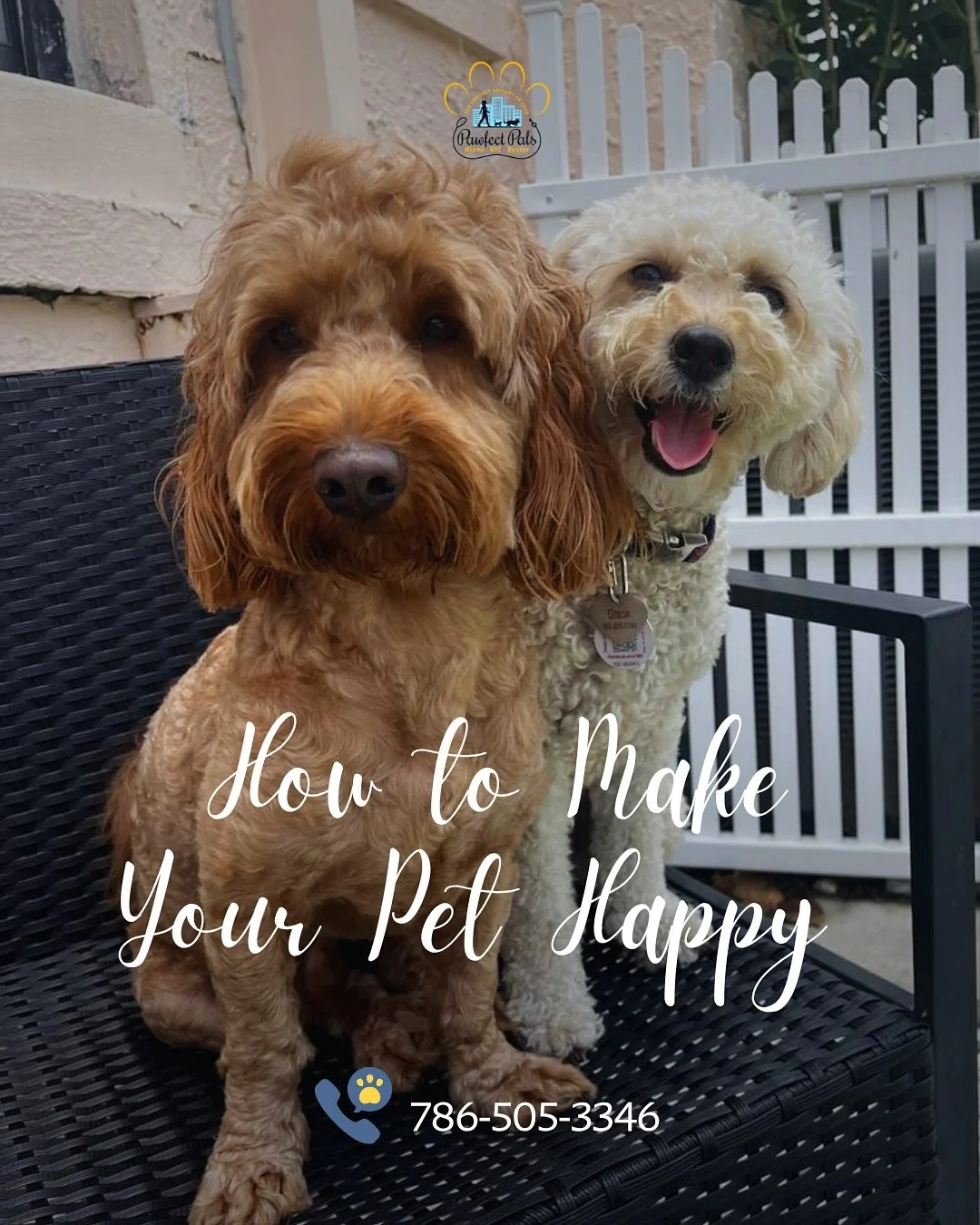 Happy pets = happy homes 🐶💛
 From playtime and socialization to daily love and routine, little things can completely brighten your pup&rsquo;s world.

Looking to boost their happiness even more?
 📅 Try our daycare services! Promo every Monday and 