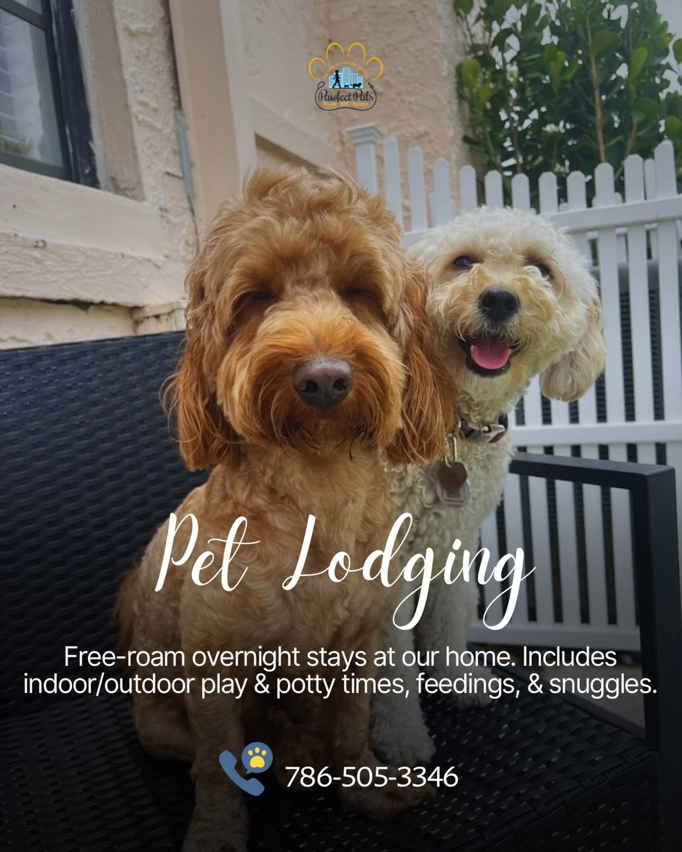 Going on a trip? We&rsquo;ve got the perfect home-away-from-home for your pet!

Comfortable lodging, lots of love, and daily playtime included. 🐶💛

Send us a DM to inquire or secure a slot.

#pawfectpals #petlodging #petsitting #miamipets #petservi