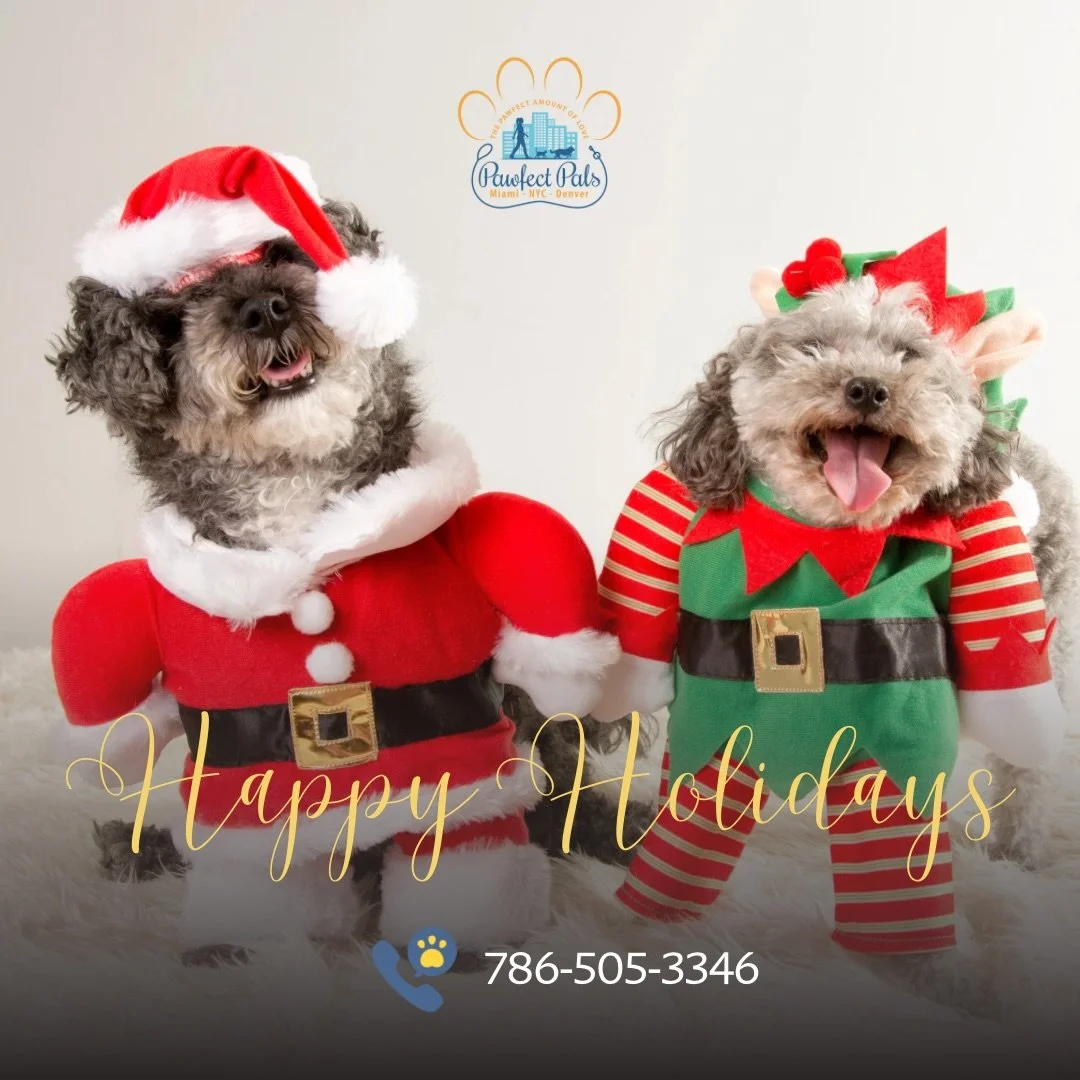 Wishing you cozy cuddles, wagging tails, and the happiest holidays! 🎅🐶

#pawfectpals #miamipet #miamipetsitters #petdaycare #petsofinstagram