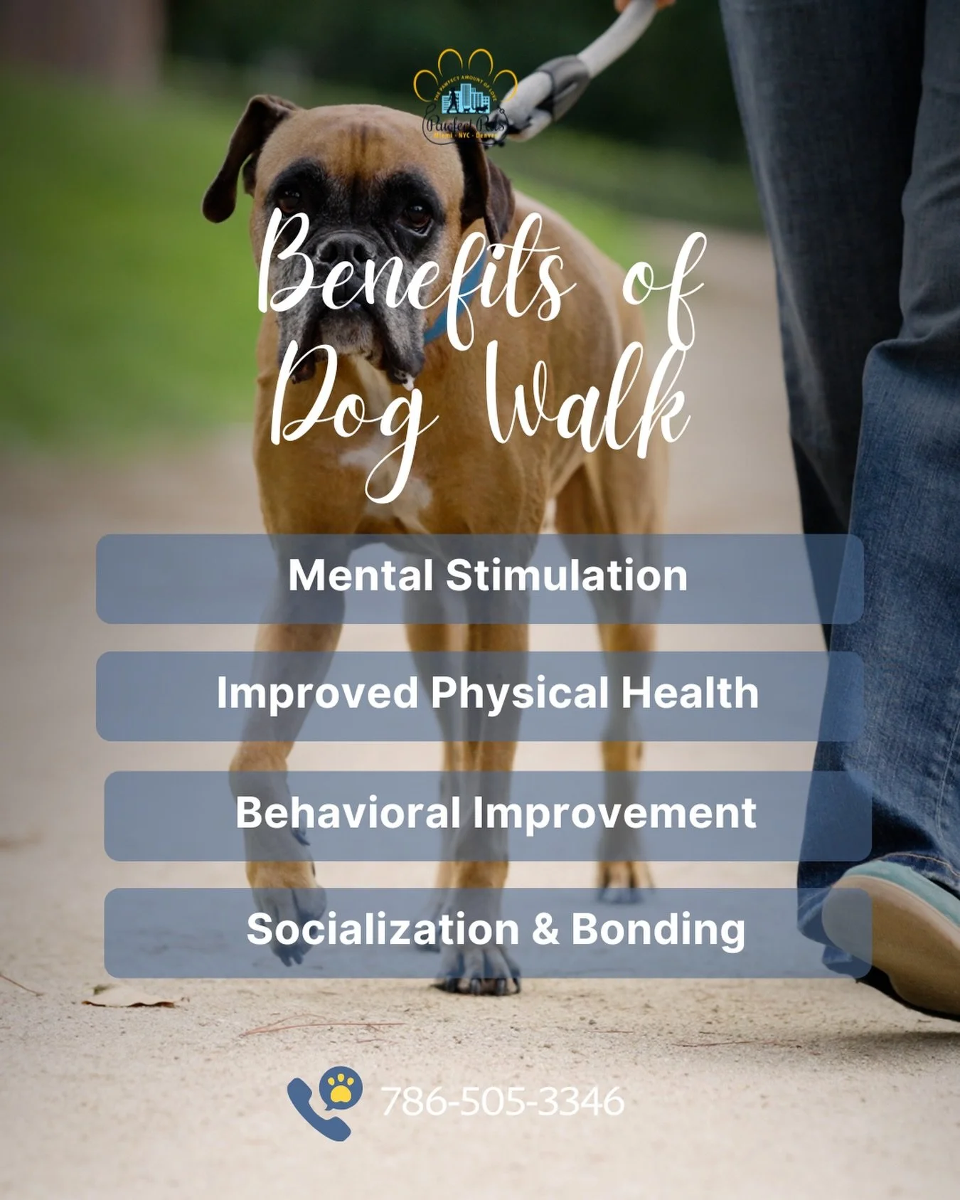 Fresh air, new scents, and wagging tails. Daily walks are one of the best gifts you can give your dog 🐾🌿

They support physical health, sharpen the mind, ease anxiety, and create a balanced, well-behaved pup at home. 

No time to walk your pup? Paw