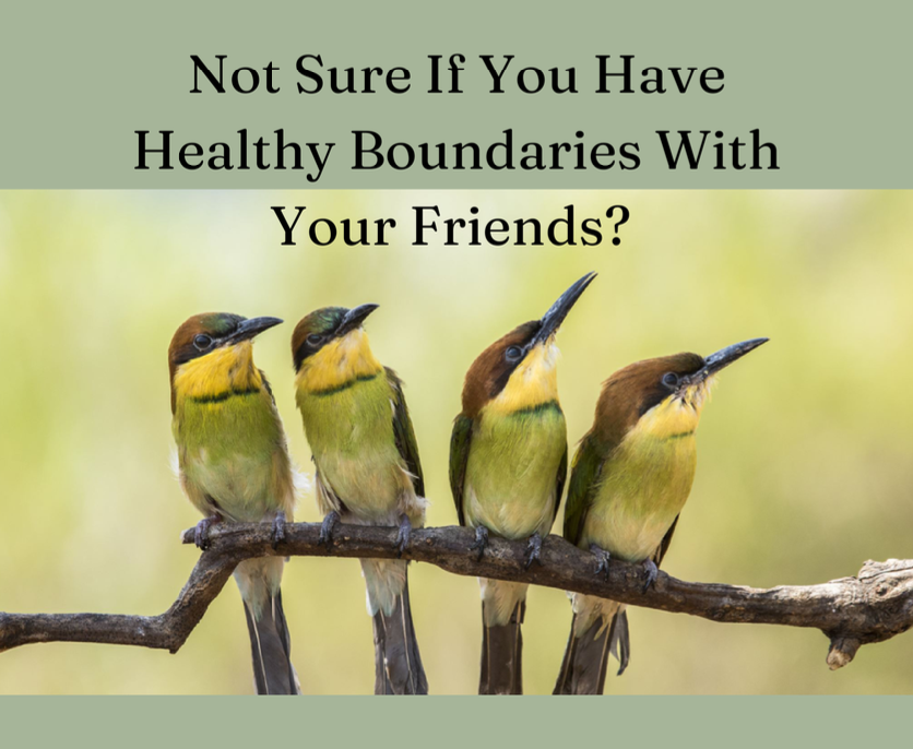 Four colorful birds perched on a branch with the text "Not Sure If You Have Healthy Boundaries With Your Friends?" above them.