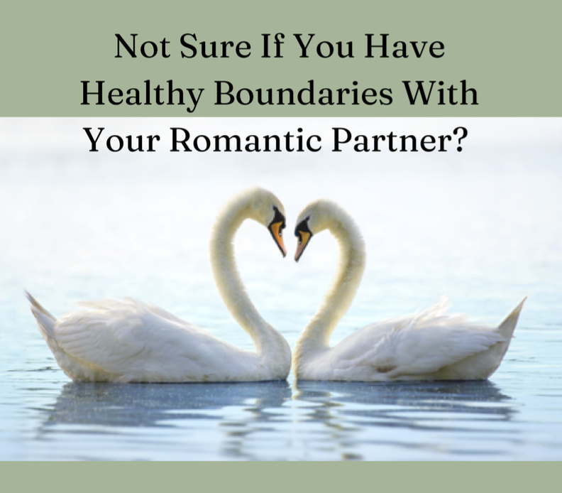 Two swans in water with text 'Not Sure If You Have Healthy Boundaries With Your Romantic Partner?'
