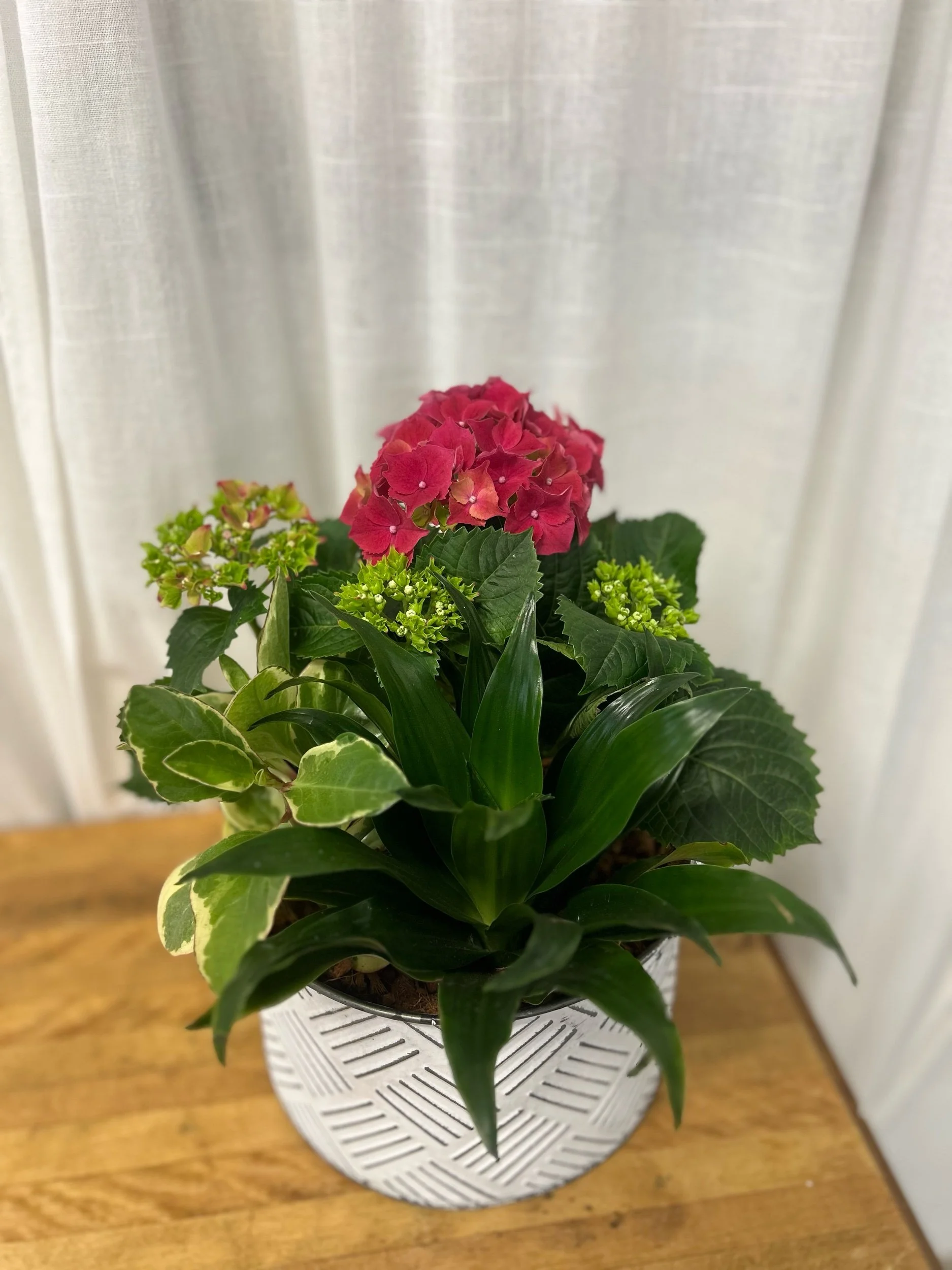 Hydrangea & Tropicals In White Tin