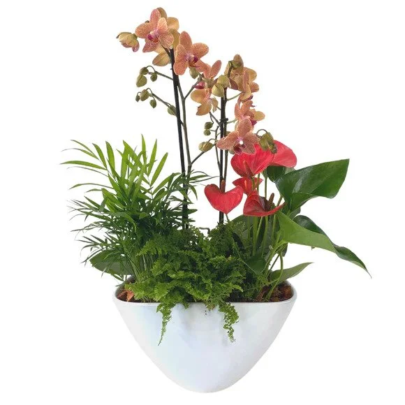 Large Eileen with Orchid Planter