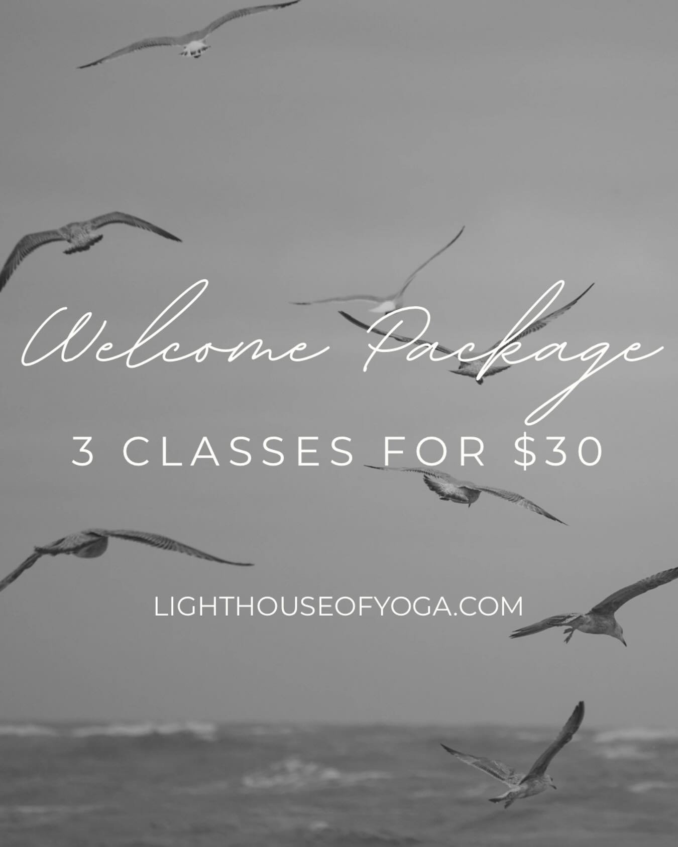 If you feel like just dipping your toes to try out a few of our classes, take advantage of this package to visit the studio!
